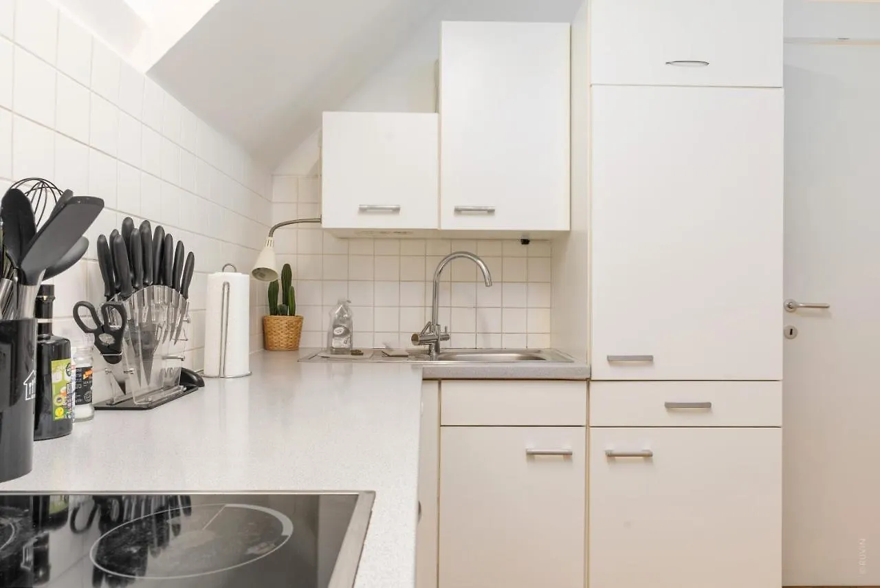 Penthouse, 3 Separate Bedrooms, 2 Min To U6 Nussdorfer Strasse Vienna Austria